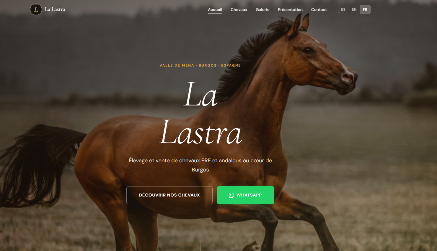 Aperçu du site La Lastra